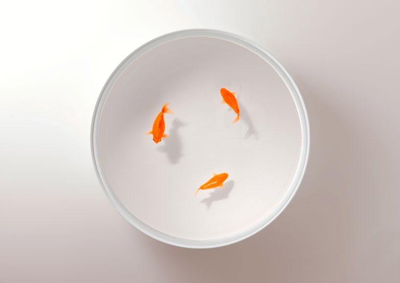 goldfish table viccarbe designboom 