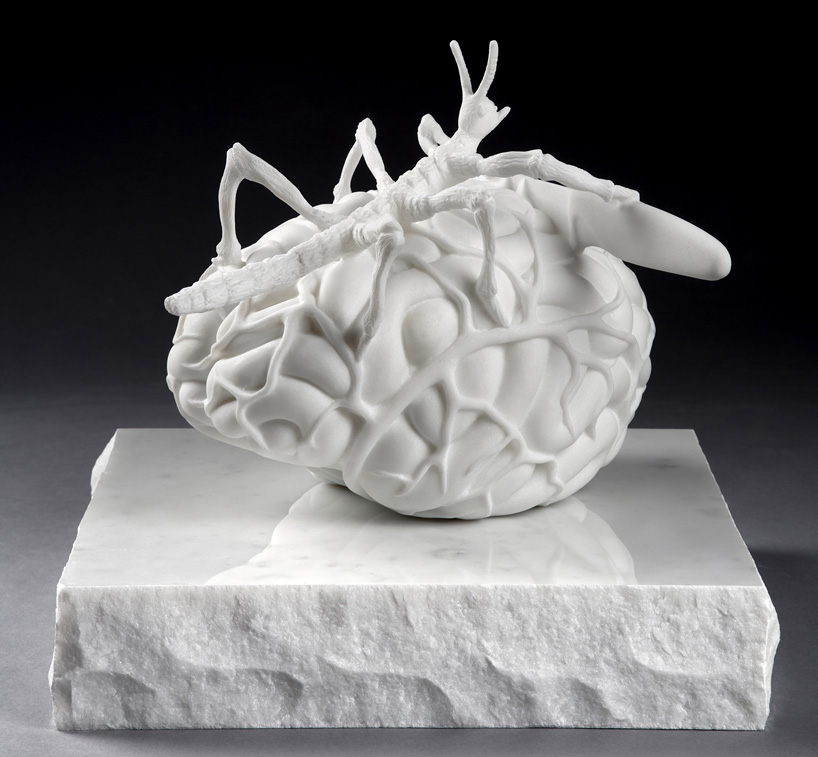 jan fabre at galerie templon paris