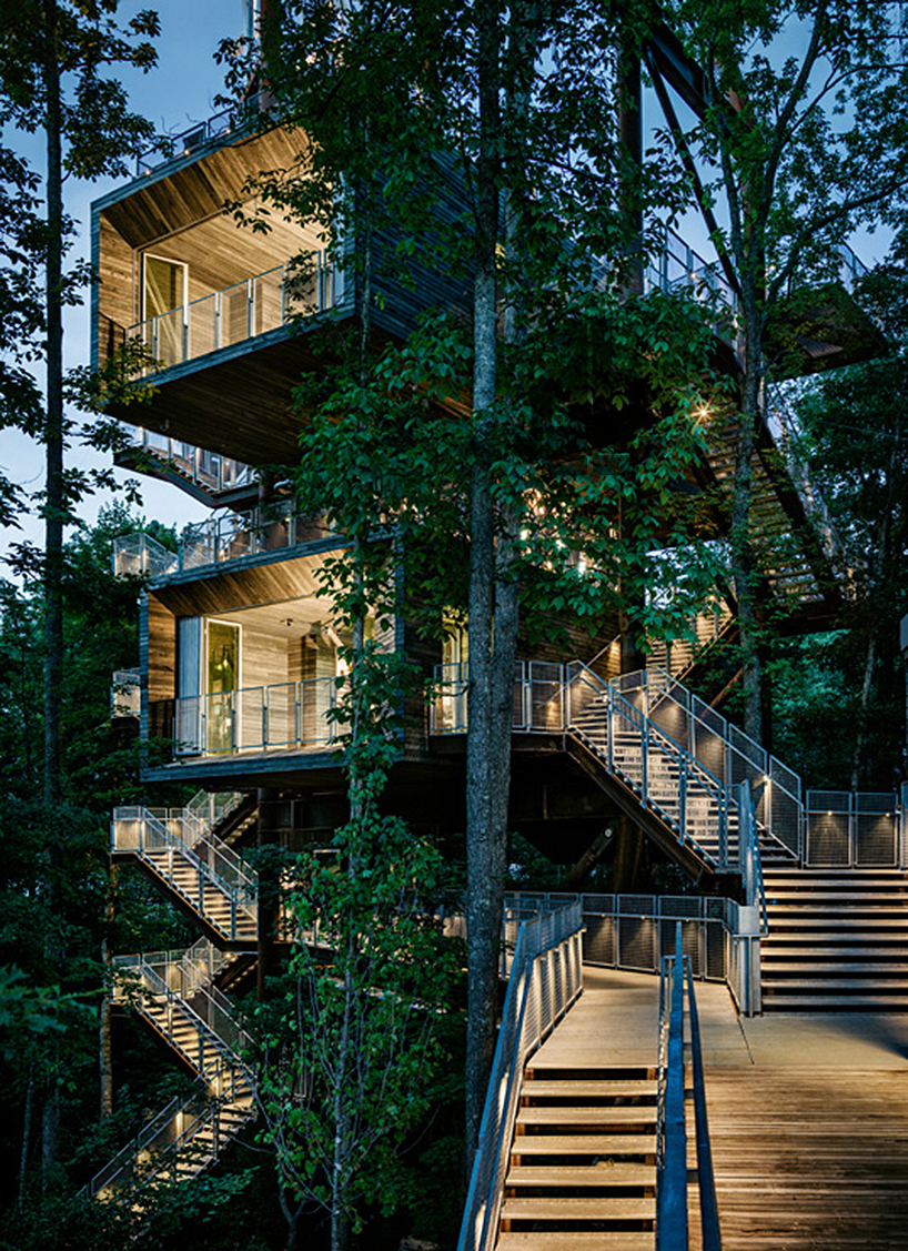 mithun erects the sustainability tree house in the dense 