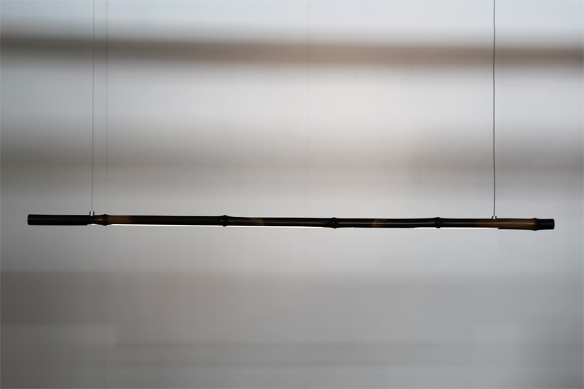 poetic lab bamboo forest designboom 