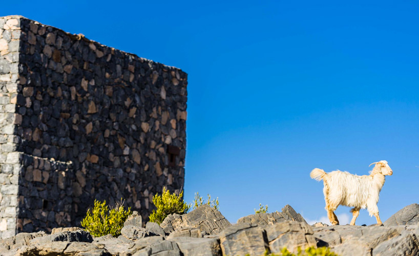 oman's alila jabal akhdar resort perched 2000 metres above sea-level