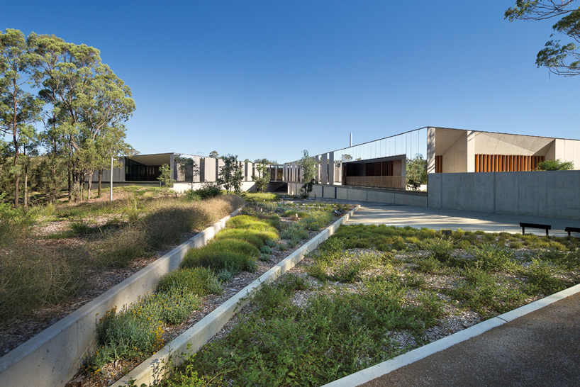bvn donovan hill plantbank building designboom
