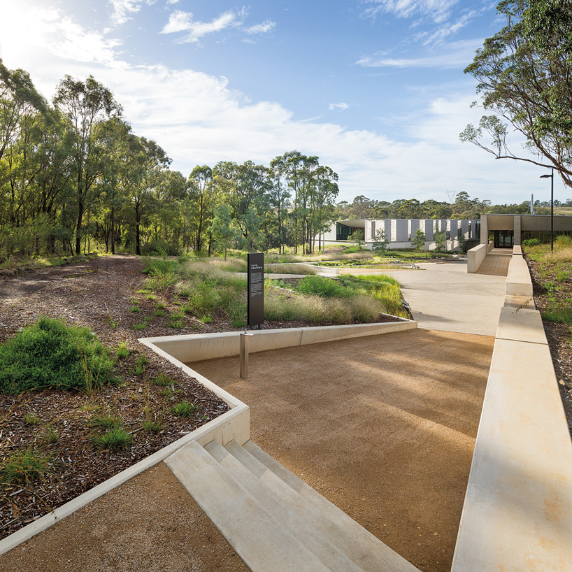 bvn donovan hill plantbank building designboom