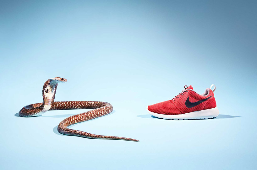 joseph ford animal versus sneaker