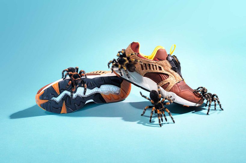 joseph ford animal versus sneaker