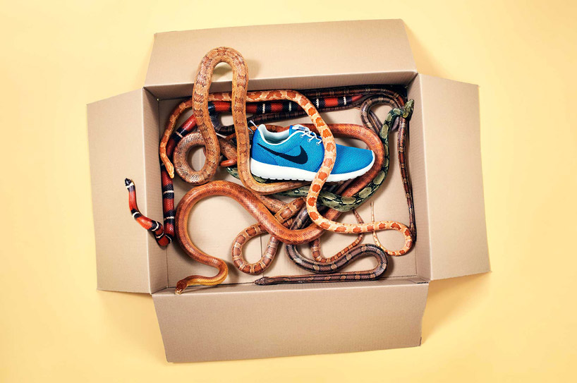 joseph ford animal versus sneaker