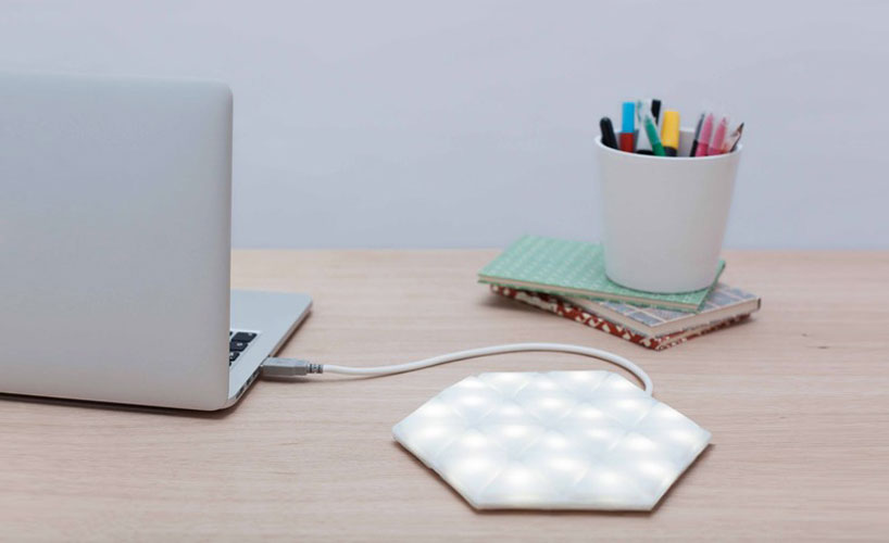 kangaroo light by studio banana things