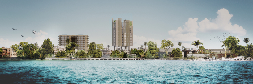 mikou africanews designboom