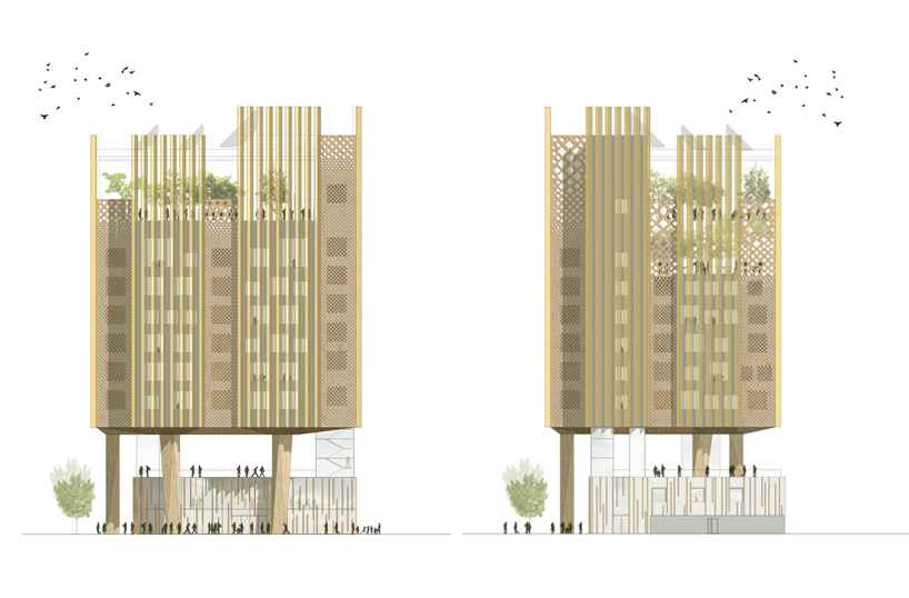 mikou africanews designboom