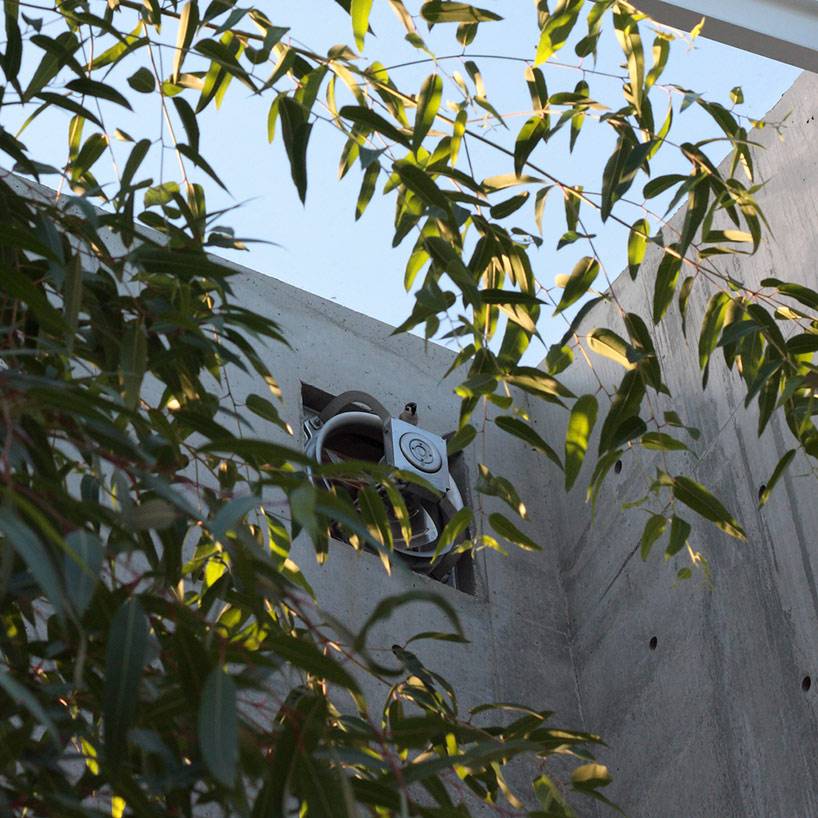 tenjinyama_ikimonoarchitects_db_09