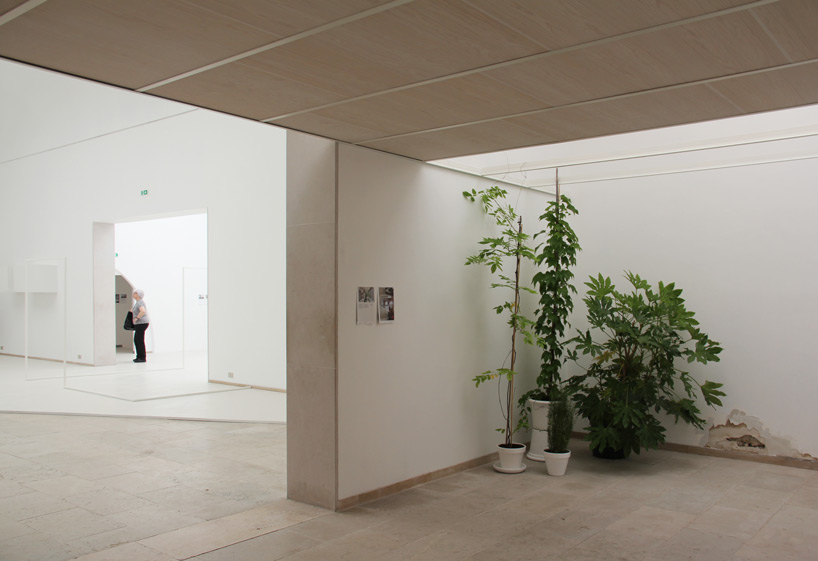 belgian pavilion venice biennale 2014 designboom