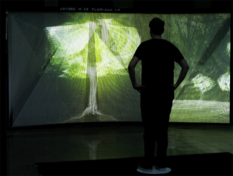 naziha mestaoui: one beat one tree