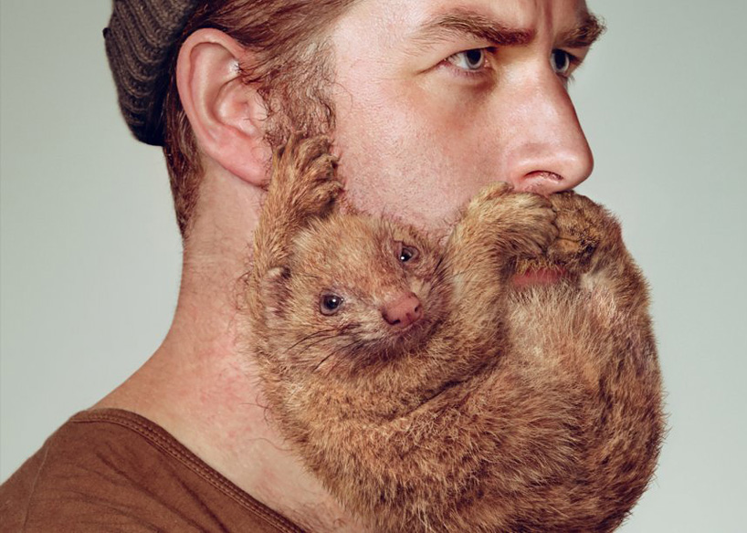 Y&R grow animal beards for schick's free your skin campaign