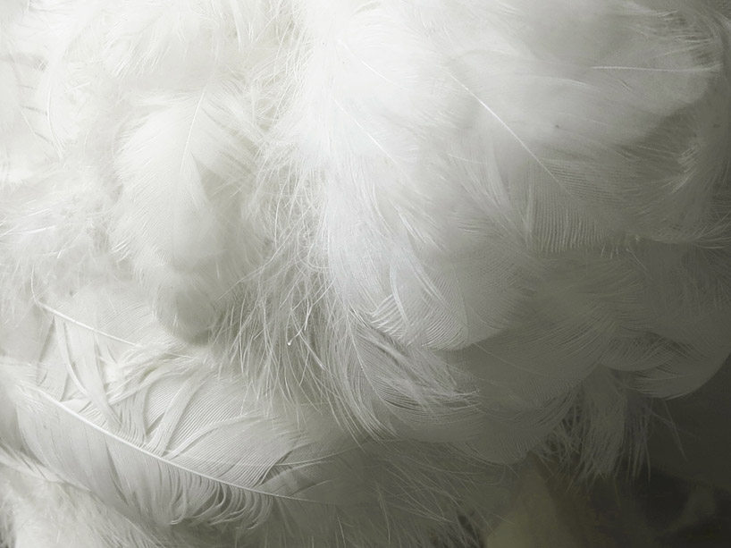 sebastian errazuriz chicken lamp 