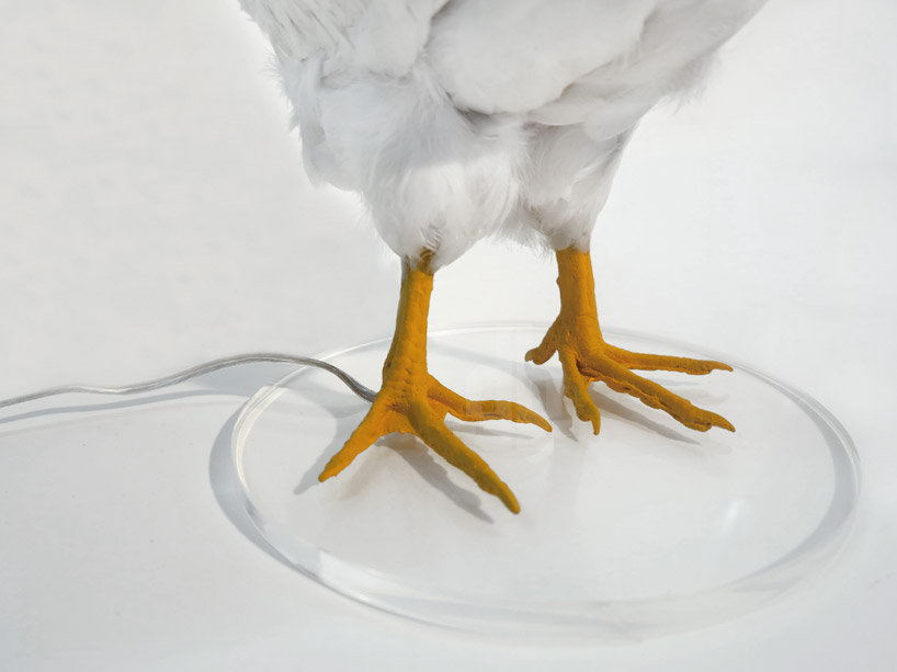 sebastian errazuriz chicken lamp 