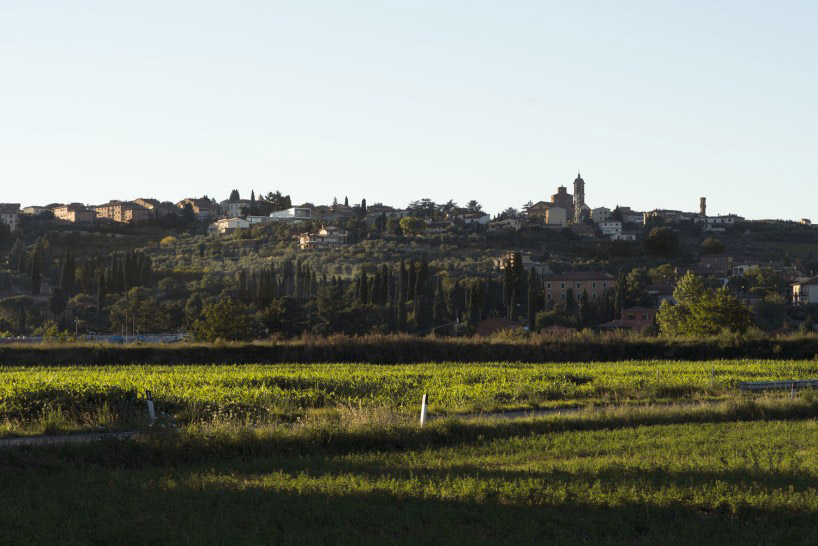studio milani school whale primary landscape