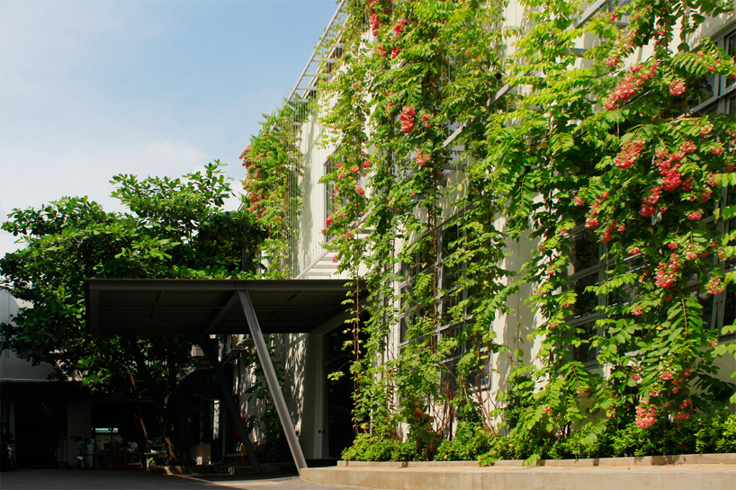 vo trong nghia architects factory office renovation bamboo designboom