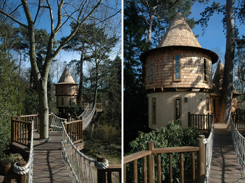 blueforest living highlife treehouse designboom