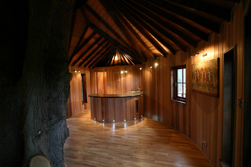 blueforest living highlife treehouse designboom