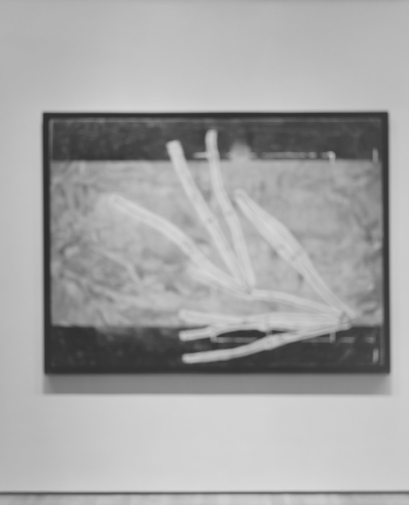 cahiers d'art gallery hiroshi sugimoto 