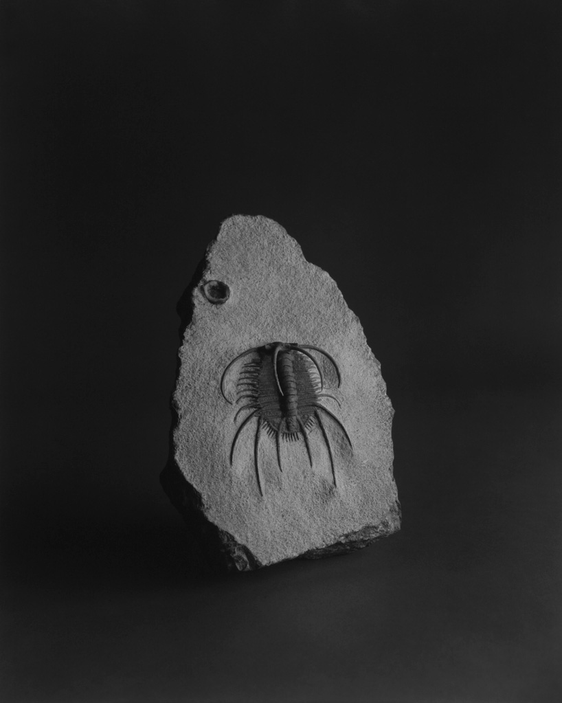 cahiers d'art gallery hiroshi sugimoto 