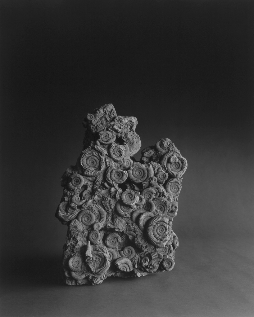 cahiers d'art gallery hiroshi sugimoto 