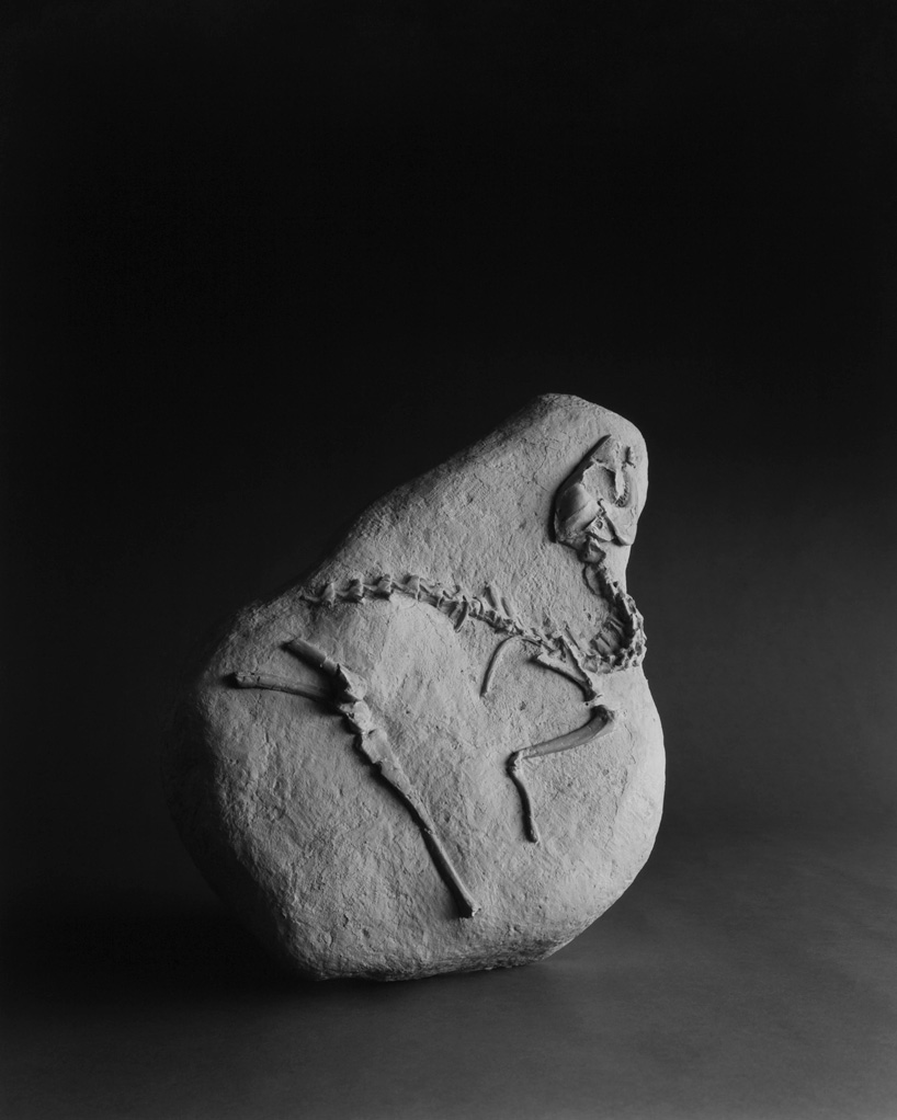 cahiers d'art gallery hiroshi sugimoto 