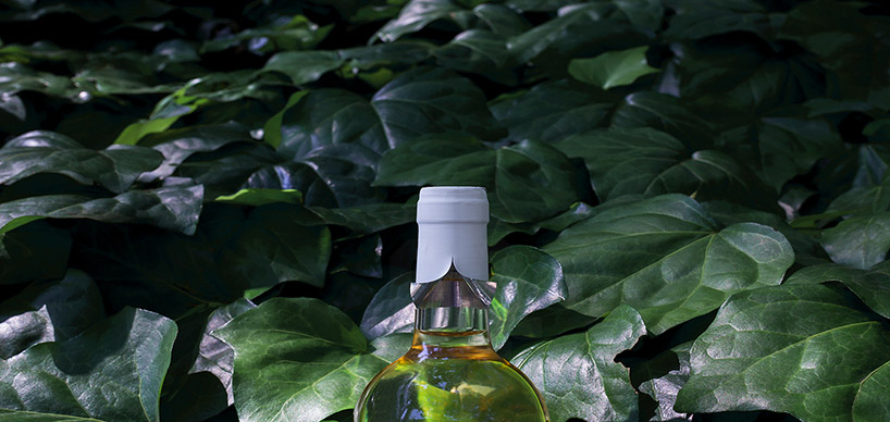 kei harada capsula wine bar restaurant