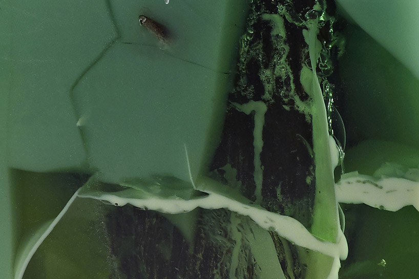 studio nucleo jade stone oak tree