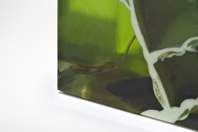 studio nucleo jade stone oak tree