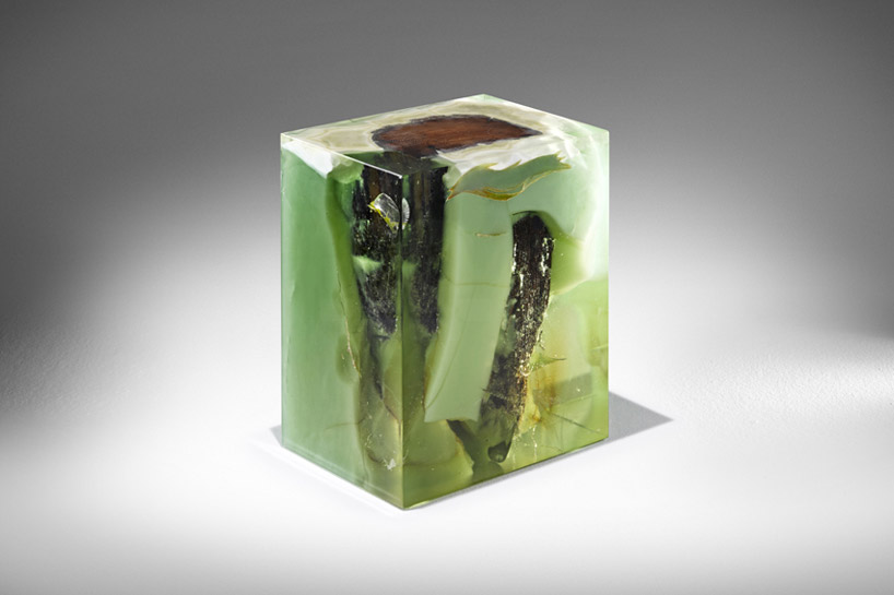 studio nucleo jade stone oak tree