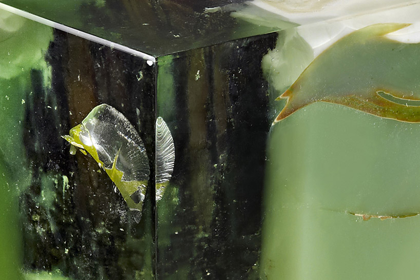 studio nucleo jade stone oak tree