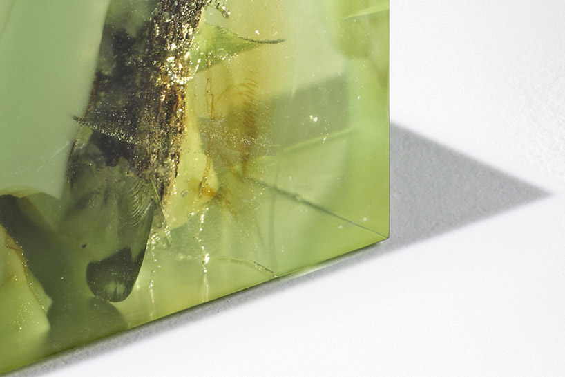 studio nucleo jade stone oak tree