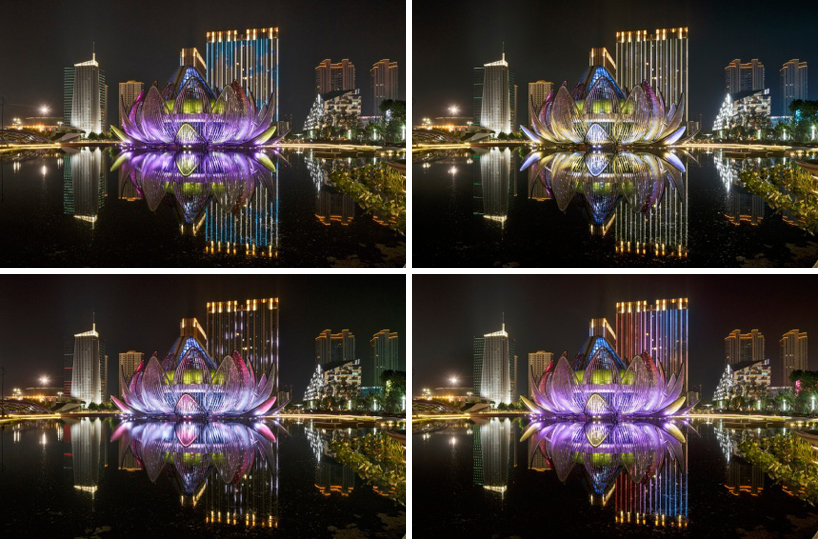 the lotus building studio505 designboom 