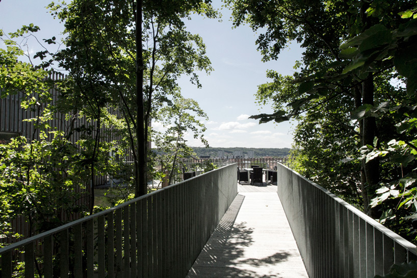 arcgency livsrum cancer center designboom