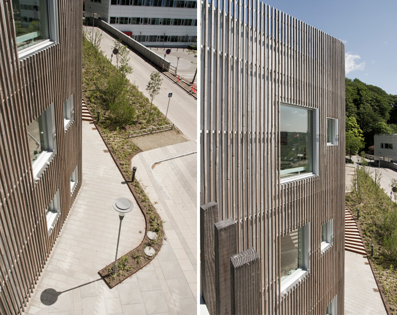 arcgency livsrum cancer center designboom