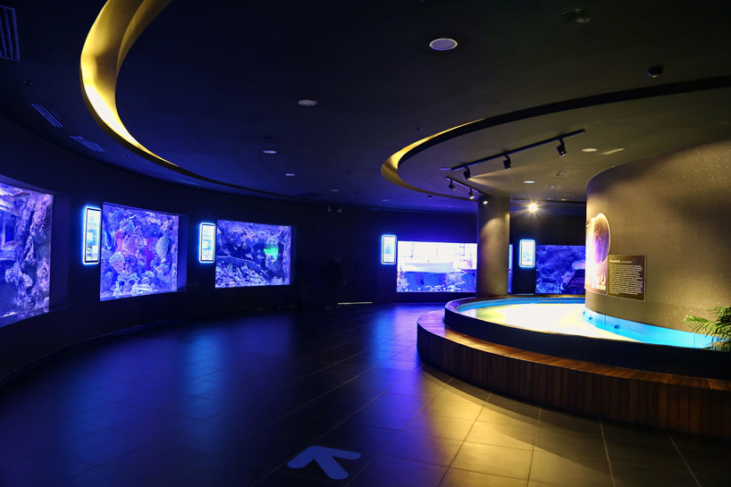 bahadir kul architects antalya aquarium turkey designboom