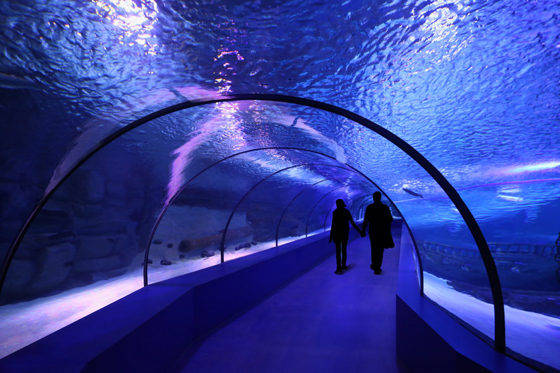 bahadir kul architects antalya aquarium turkey designboom