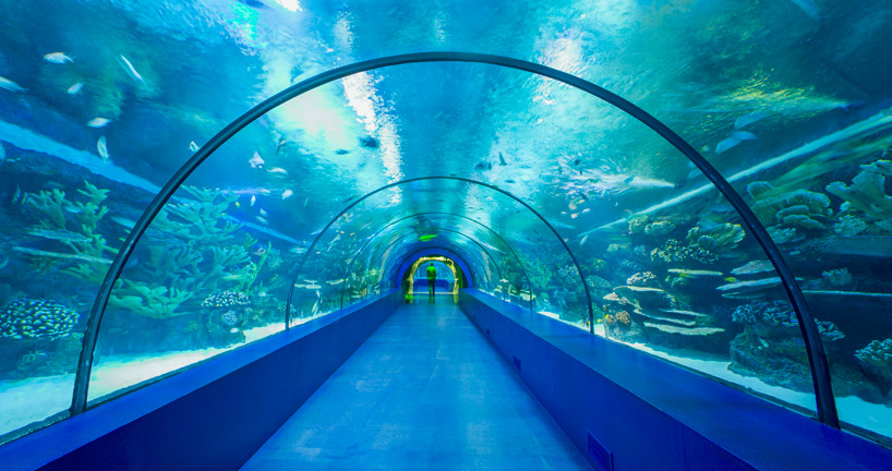 bahadir kul architects antalya aquarium turkey designboom