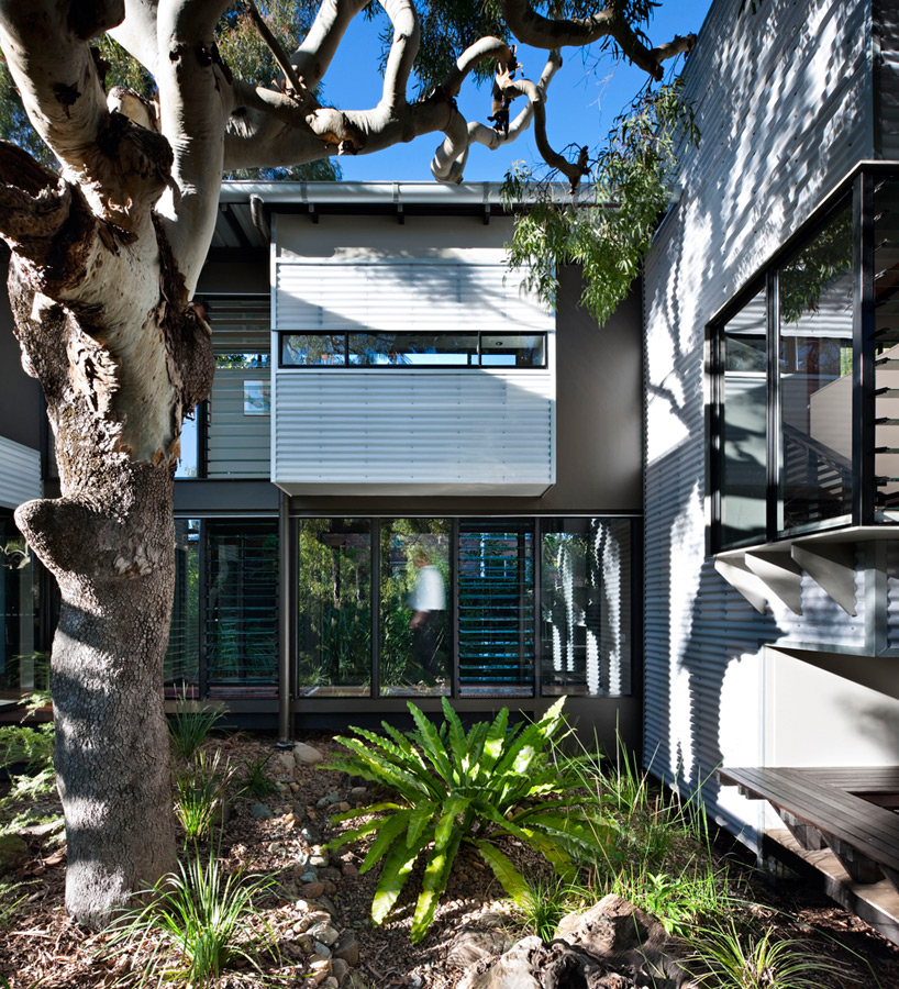 bark design architects marcus beach house designboom
