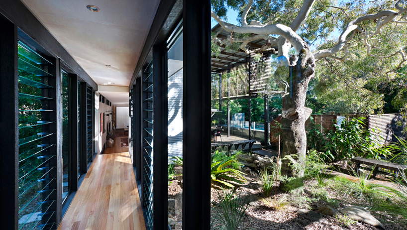 bark design architects marcus beach house designboom