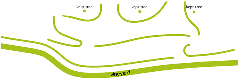 paul fraillon champagne bar paris