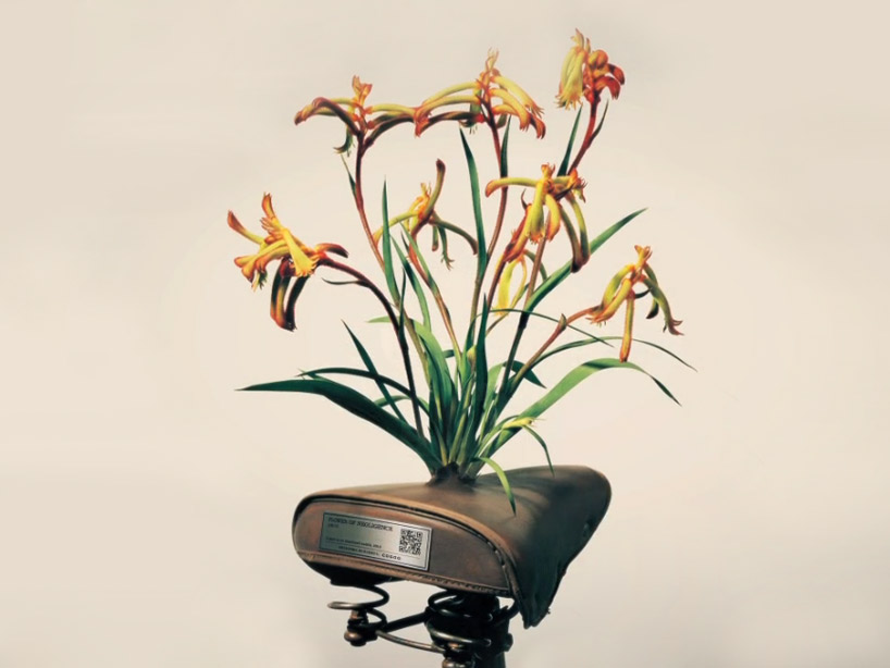 saddle blossoms designboom 