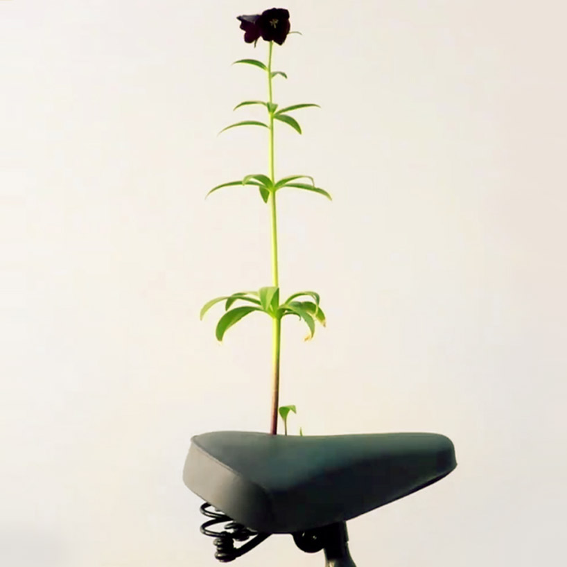 saddle blossoms designboom 