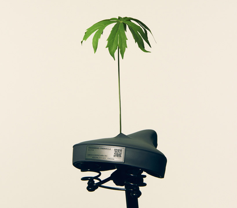 saddle blossoms designboom 