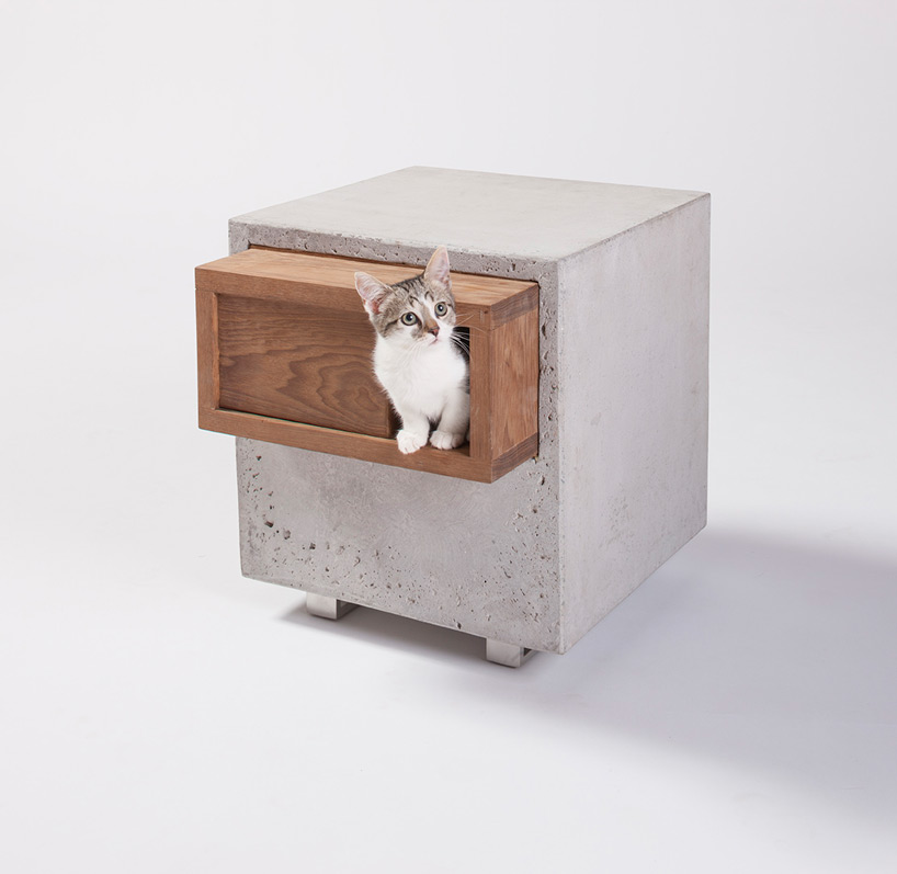 architects for animals cat shelters fixnation designboom