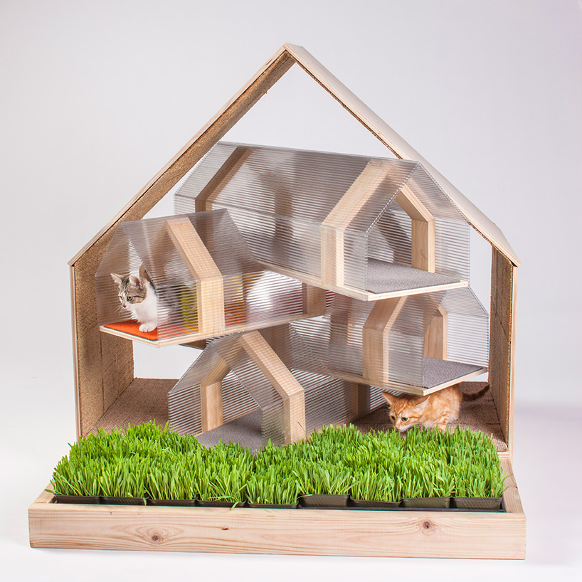 architects for animals cat shelters fixnation designboom
