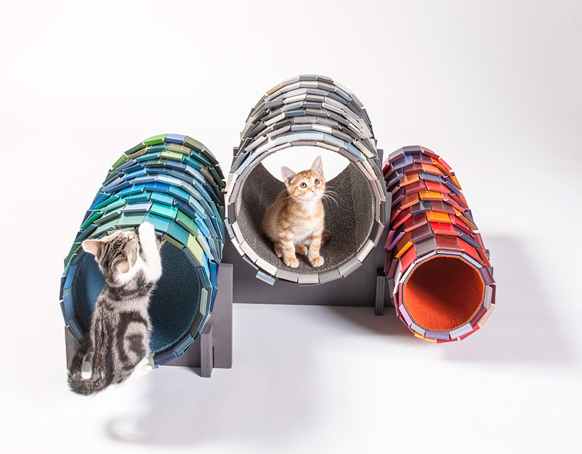 architects for animals cat shelters fixnation designboom