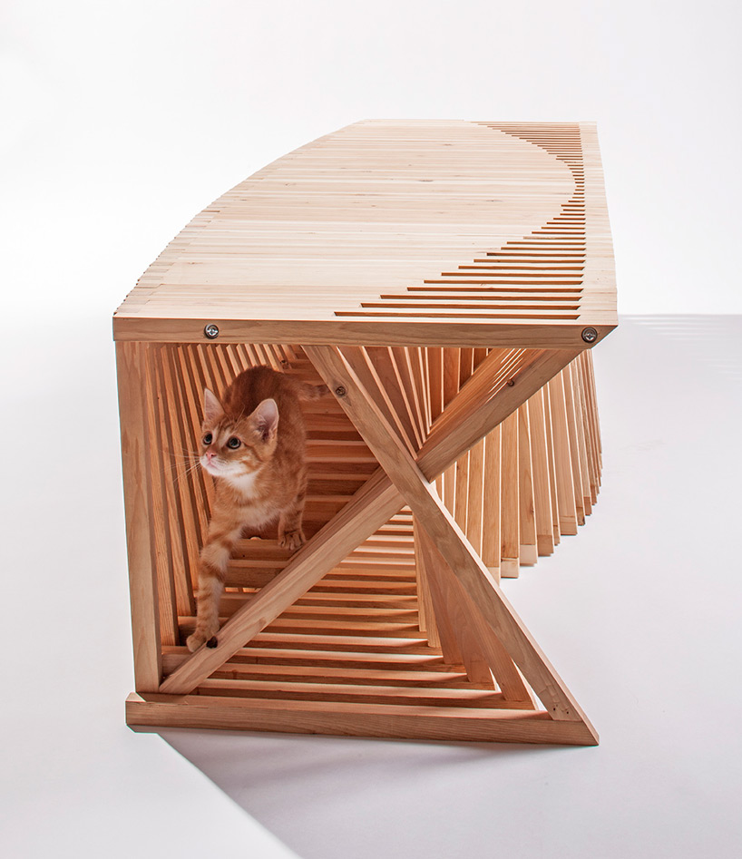 architects for animals cat shelters fixnation designboom