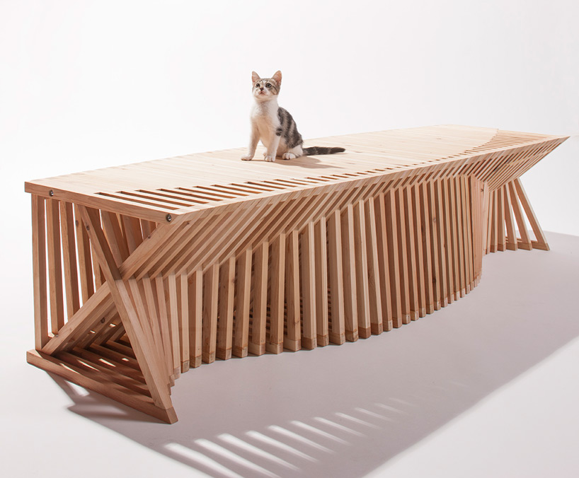architects for animals cat shelters fixnation designboom